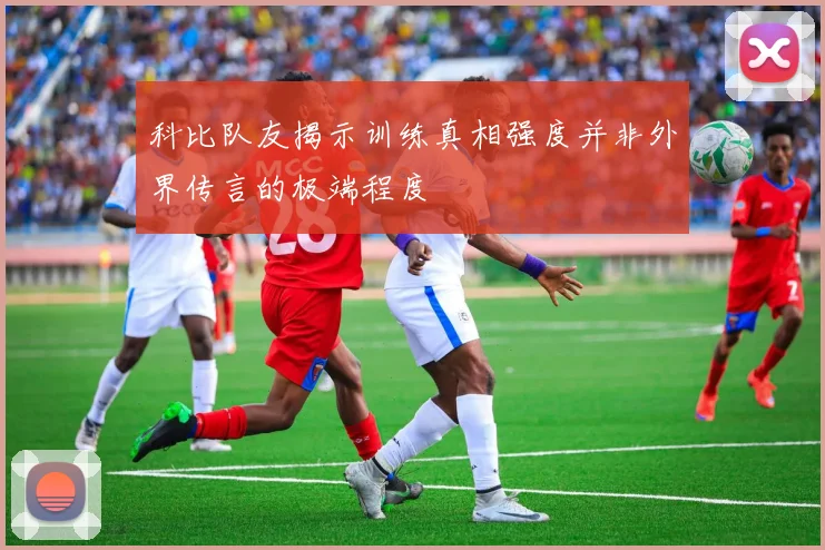 科比队友揭示训练真相强度并非外界传言的极端程度