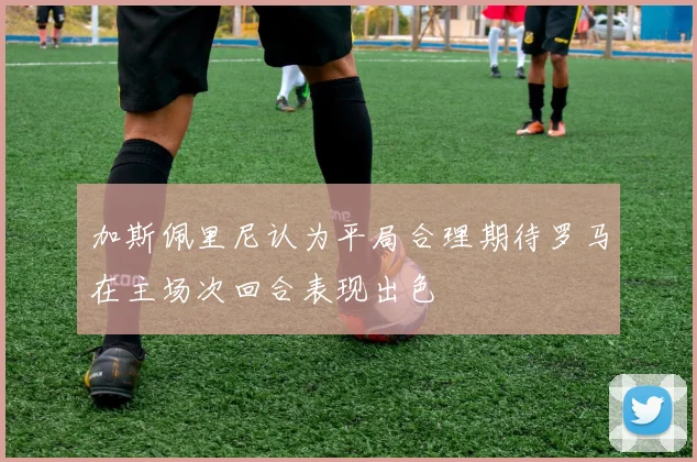 加斯佩里尼认为平局合理期待罗马在主场次回合表现出色